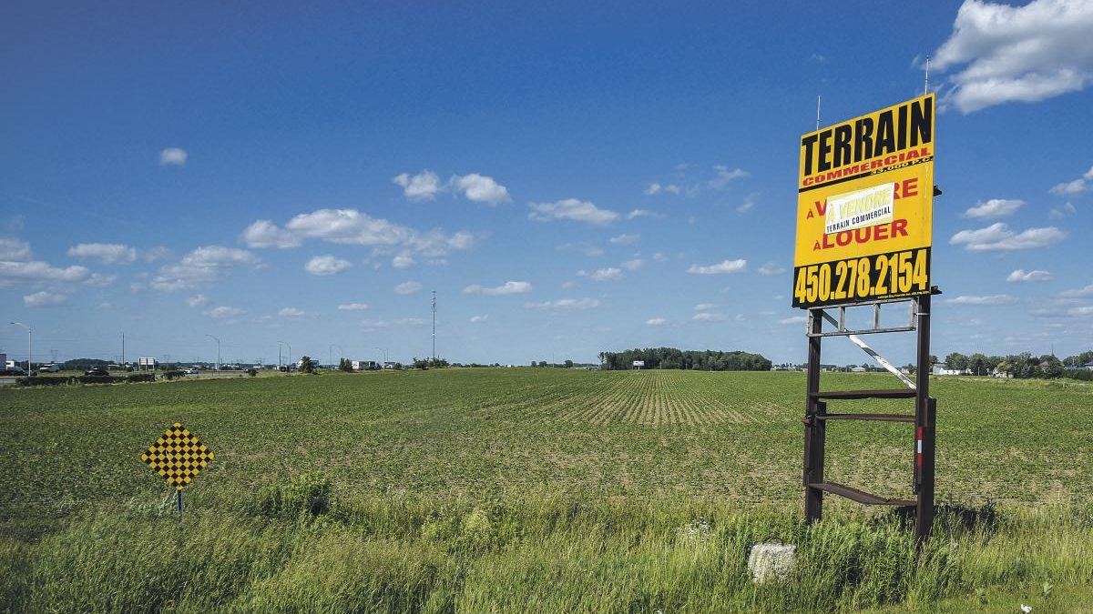 Les terrains près de l’autoroute 20 à Sainte-Hélène-de-Bagot pourront être développés. Photo François Larivière | Le Courrier ©