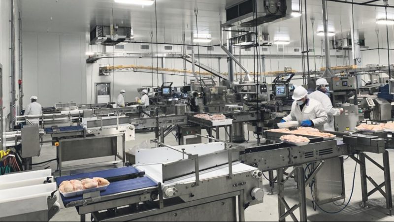 L’usine Olymel de Saint-Damase contrôle maintenant l’ensemble du processus de production comprenant les opérations d’abattage, de découpe et de préemballage de volaille. Photo gracieuseté