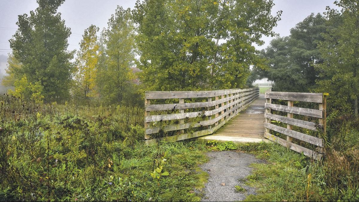 Le parc-nature de la Métairie s’étendrait sur 108 hectares. Photo François Larivière | Le Courrier ©