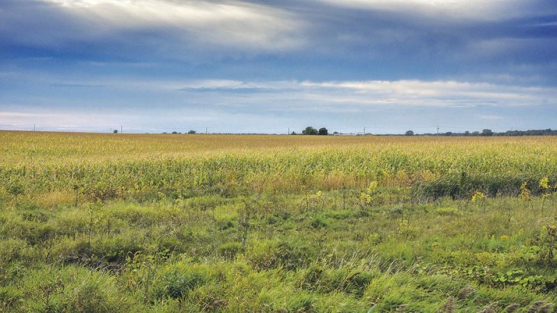 L’UPA de la Montérégie souhaite contester la décision de la CPTAQ autorisant l’exclusion de terres de la zone agricole à Saint-Hyacinthe.Photothèque | Le Courrier ©