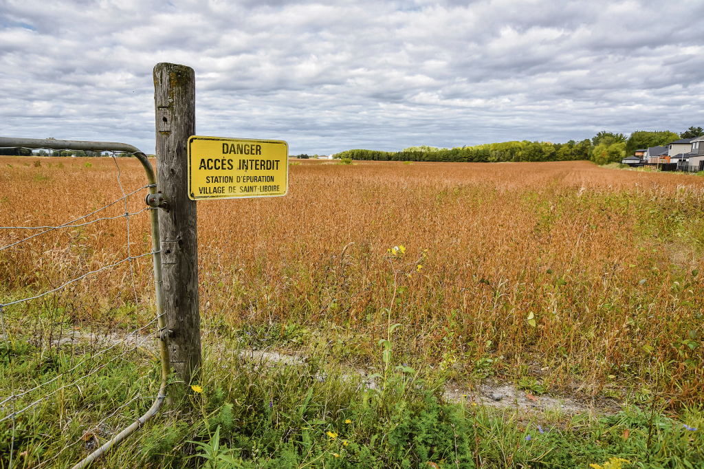 ﻿La Fabrique de Saint-Liboire compte louer par appel d’offres une terre de 24,6 hectares située aux limites de la zone agricole et de la zone urbanisée du village. Photo François Larivière | Le Courrier ©