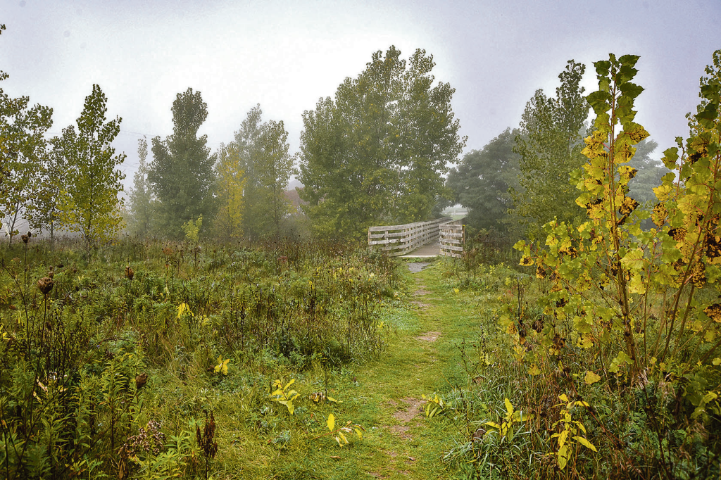 Les terres de la Métairie s’étendent sur 108 hectares. Photothèque | Le Courrier ©