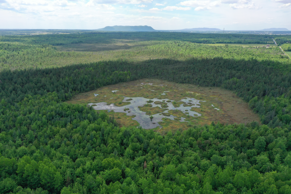 Des consultations publiques se tiendront dans le cadre de l’élaboration du Plan régional sur les milieux naturels. Photo gracieuseté