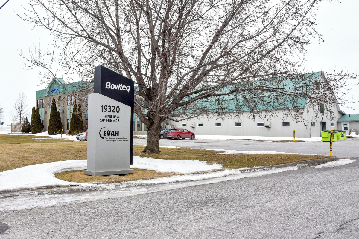 C’est dans les anciens laboratoires de Boviteq sur le Grand rang Saint-François à Saint-Hyacinthe que les chercheurs de la société EVAH Corp poursuivent le développement de leurs vaccins de santé animale. Photo François Larivière | Le Courrier ©