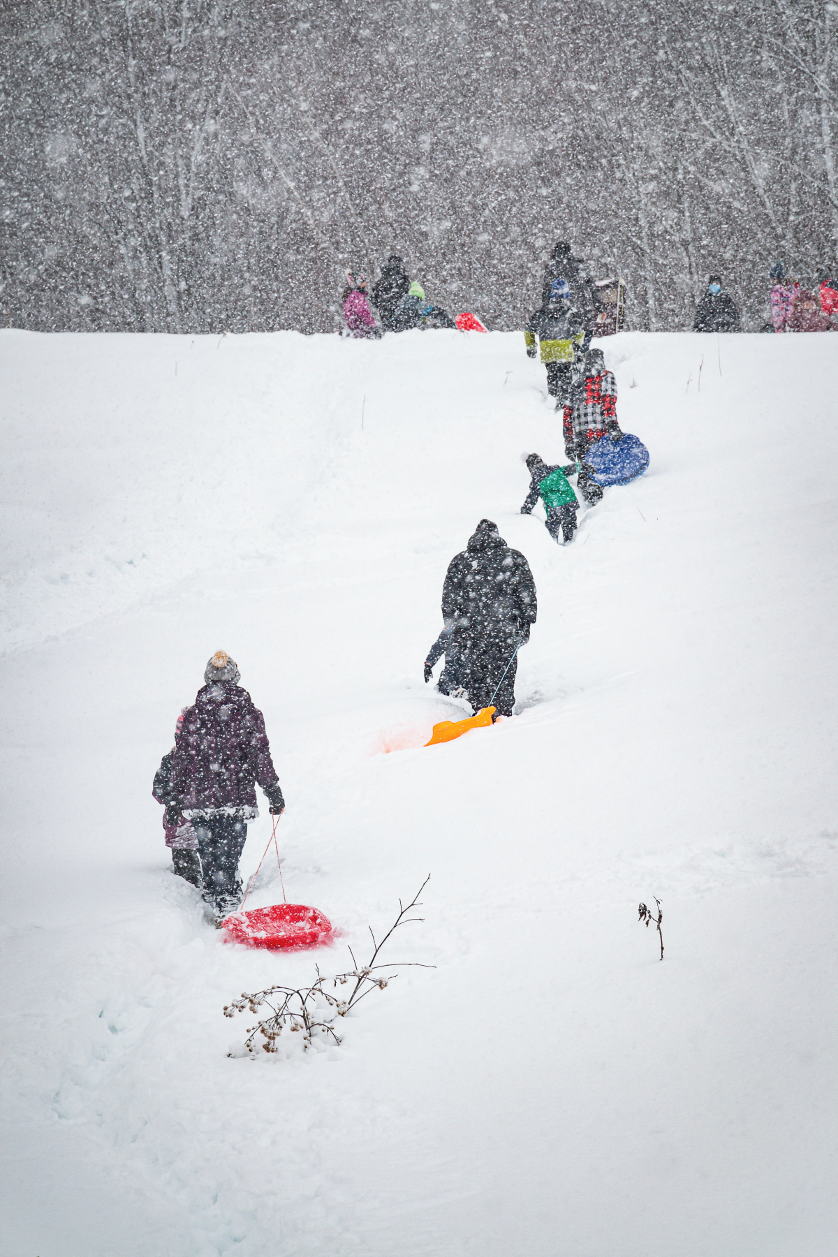 Chouette à voir! organise des Journées blanches pendant la semaine de relâche. Photo Maxime Cadotte