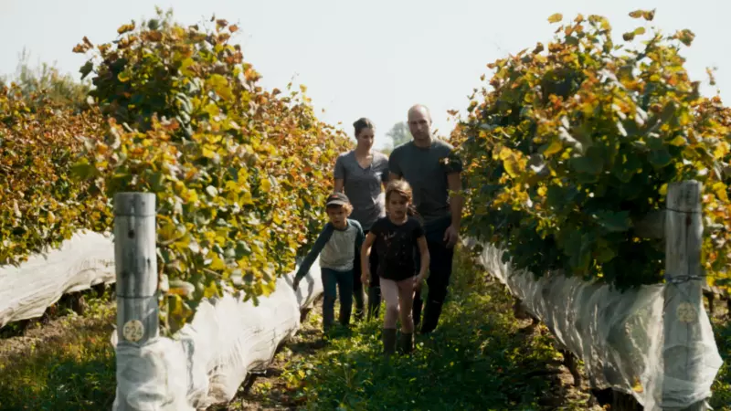 Fannie Boulanger, Matthieu Beauchemin et leurs enfants Antoine et Florence Beauchemin, lors du tournage de la série documentaire La vigne est belle. Photo gracieuseté