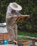 Au royaume de l’apiculture