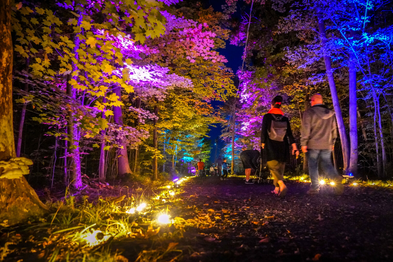 Le sentier lumineux sera de retour au parc Les Salines du 6 au 9 octobre. Photo François Larivière | Le Courrier ©