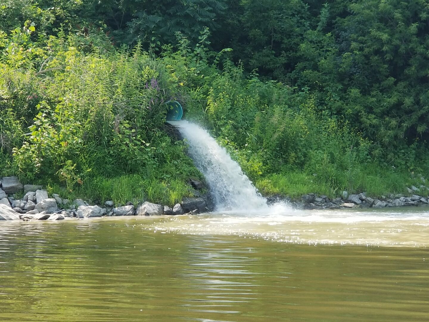 Les constats ont été émis en lien avec le déversement d’eaux usées dans la rivière Yamaska en juin 2016. Photothèque | Le Courrier ©