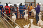 Des représentants agricoles africains visitent une ferme de Saint-Damase