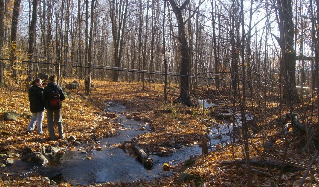 Des propriétaires de SaintDamase réfléchissent sur la pérennité du mont Rougemont