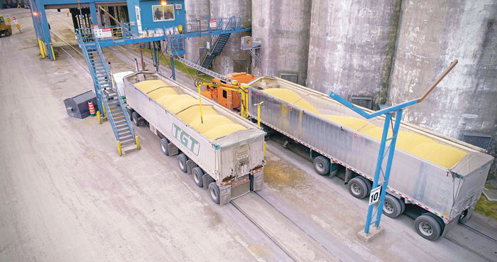 Chaque année, plus de 10 000 camions livrent du grain provenant des fermes du Québec. Photos gracieuseté G3