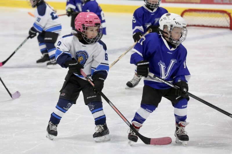 Les Sphynx du Richelieu sont devenus la première équipe toute féminine à participer au Festival de hockey M7. Photo Robert Gosselin | Le Courrier ©