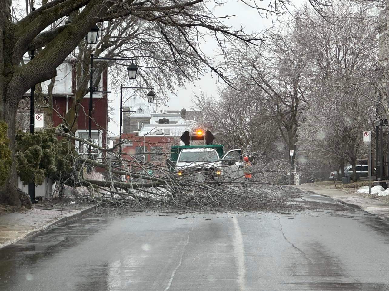 Le verglas tombé le 5 avril a causé une vingtaine de pannes dans la MRC des Maskoutains en raison des nombreuses branches tombées sur des fils électriques. Photo | Le Courrier ©