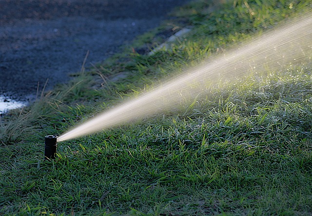 Les citoyens de Saint-Hyacinthe auront l’obligation de s’abstenir d’arroser leur pelouse durant tout le mois de juillet. Photo Pixabay