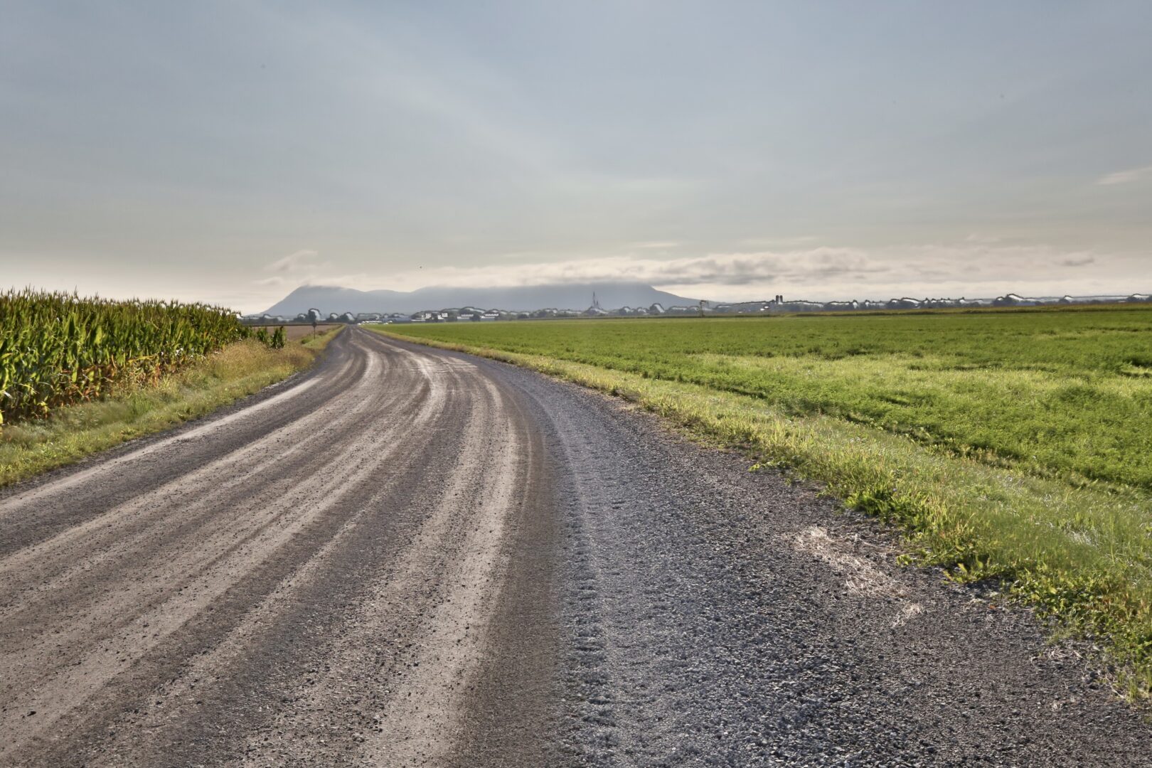 Le projet d’usine de biométhanisation de la Coopérative régionale d’électricité de St-Jean-Baptiste-de-Rouville sur cette terre agricole de Saint-Damase, sur le chemin Martel près du rang de la Caroline, n’a pas été accepté à la Commission de protection du territoire agricole du Québec. Photo Robert Gosselin | Le Courrier ©