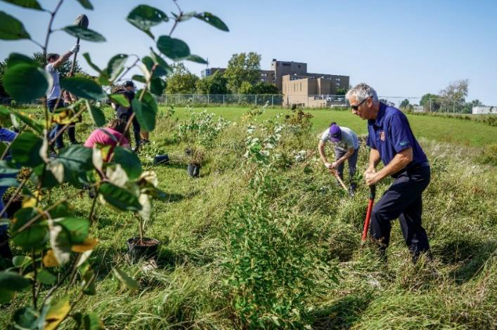 En attendant la mise en œuvre d’un plan de foresterie urbaine, les employés et les élus de la Ville de Saint-Hyacinthe font leur part pour accroître l’indice de canopée du territoire en participant aux Journées de la rivière comme celle du 22 septembre. Photo gracieuseté