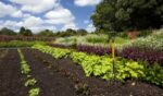 Conférence horticole à la Société d’horticulture de Saint-Hyacinthe