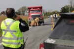 Un motocycliste perd la vie dans une violente collision à Saint-Hugues