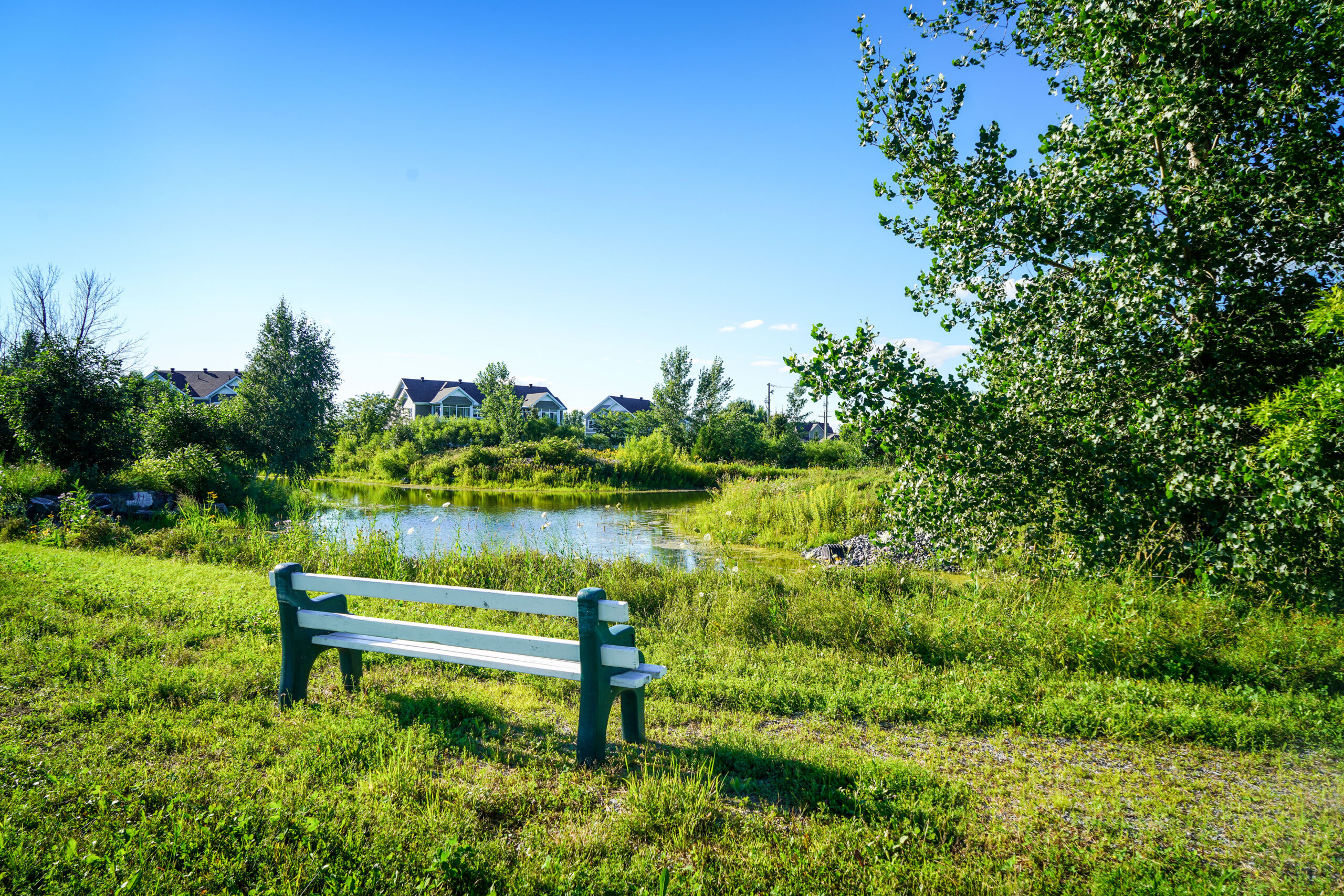 L’aménagement du parc Aurel-Letendre, à côté de l’école au Domaine-sur-le-Vert, est l’un des investissements les plus importants en 2024. Photo François Larivière | Le Courrier ©