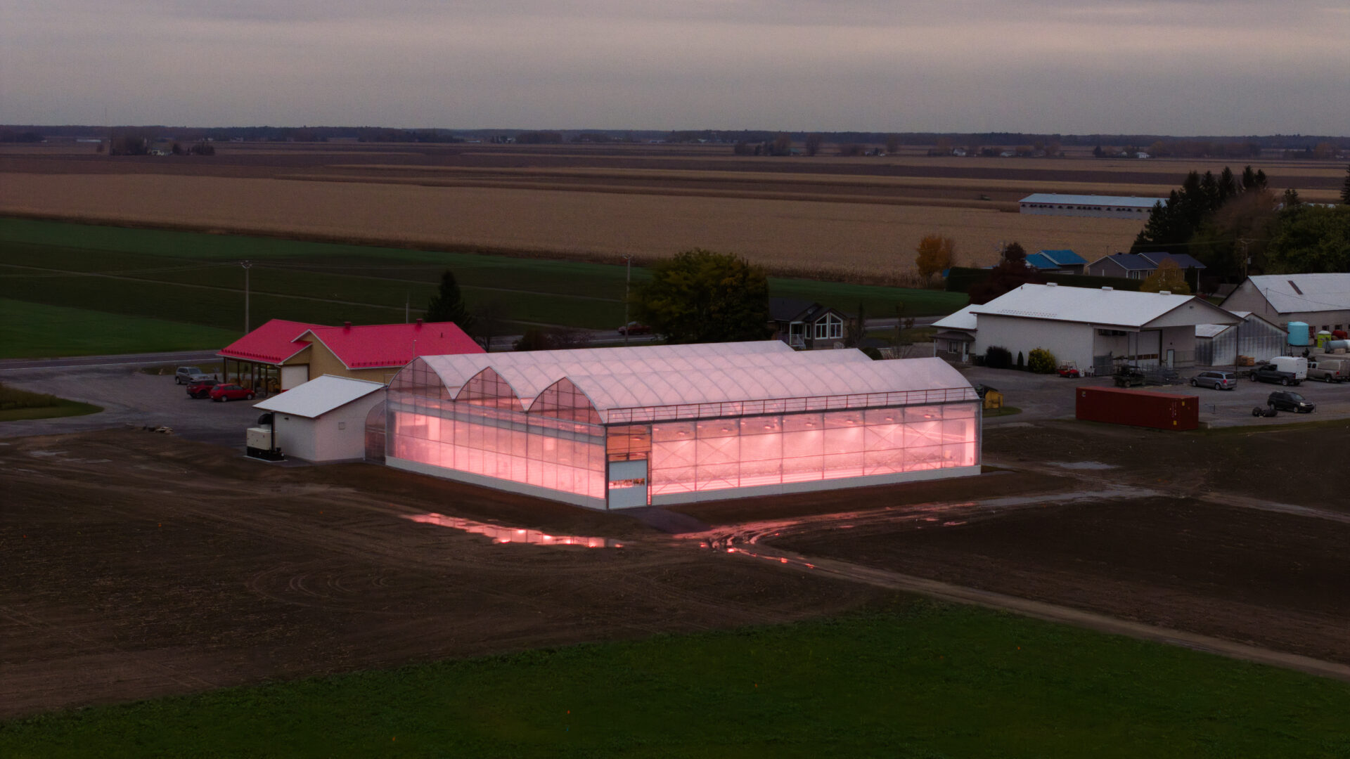 La Ferme Gadbois peut maintenant produire des fraises presque à l’année grâce à ses trois nouvelles serres. Photo gracieuseté