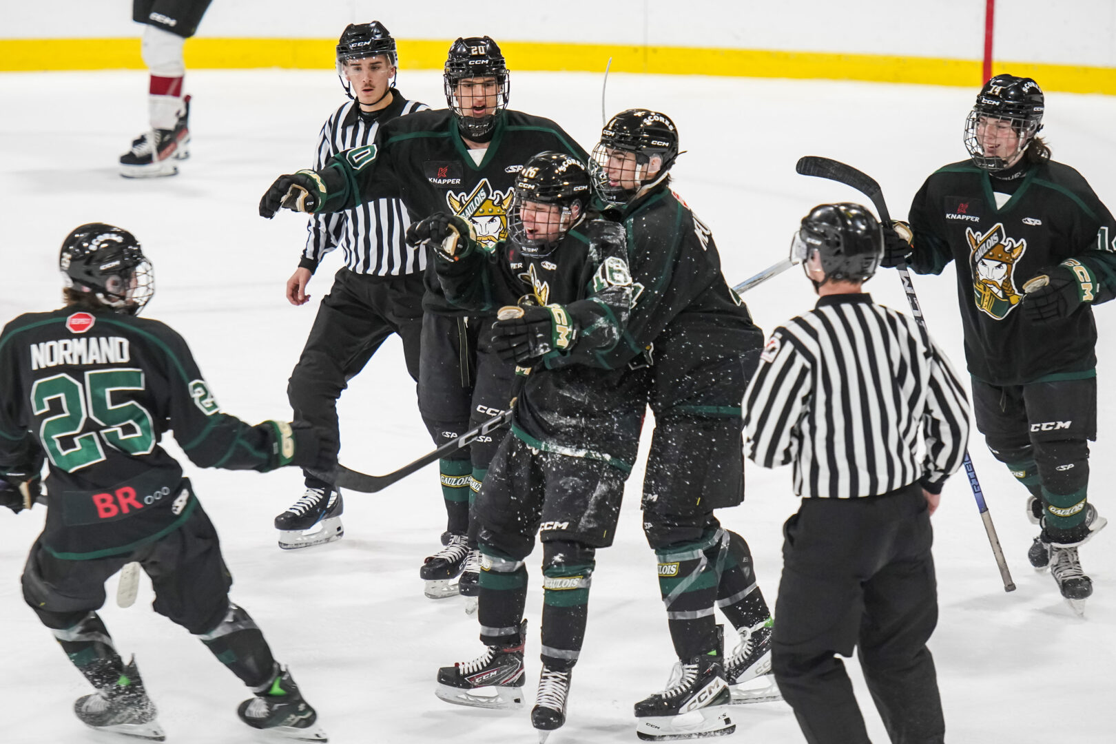 Avec sept victoires à leurs dix derniers matchs, les Gaulois de Saint-Hyacinthe sont arrivés en confiance au Challenge CCM. Photo François Larivière | Le Courrier ©