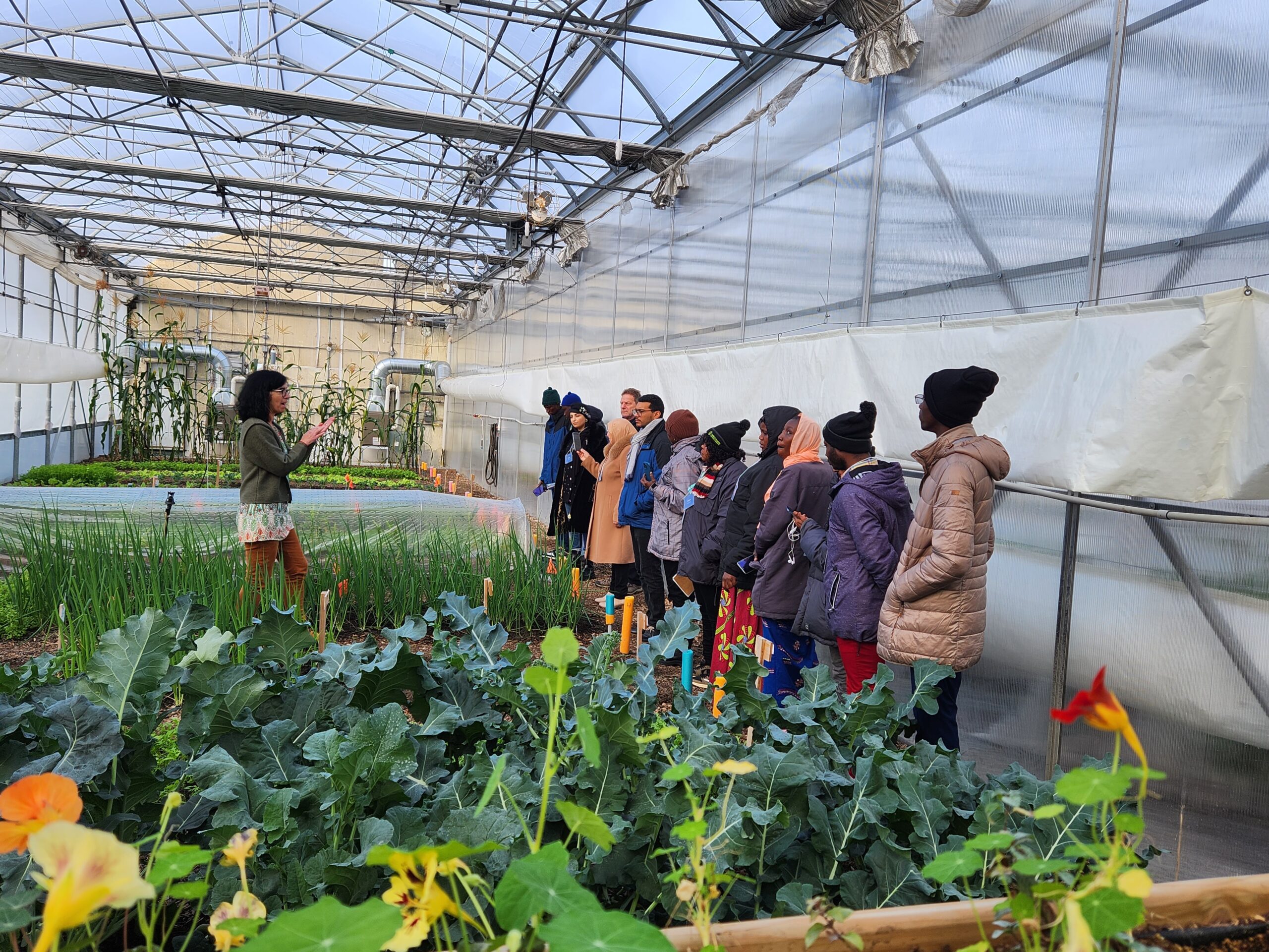 Treize producteurs africains ont visité notamment l’Institut de technologie agroalimentaire du Québec (ITAQ) le 28 novembre où il ont pu découvrir la production en serre. Photo gracieuseté