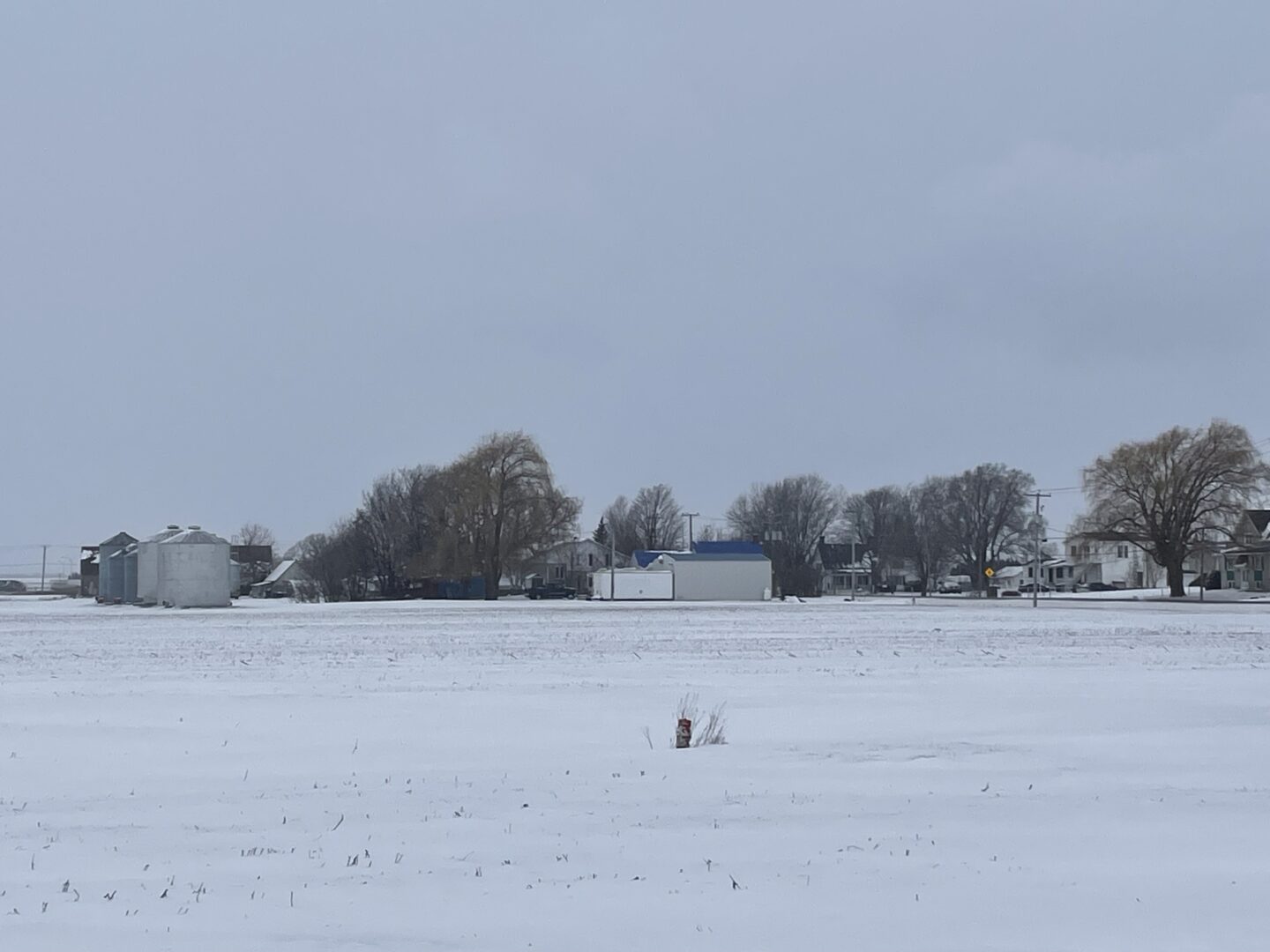 Grâce au semis direct, les terres de Jocelyn Michon à La Présentation sont couvertes de plus de neige que celles d’autres producteurs. Photo Adaée Beaulieu | Le Courrier ©