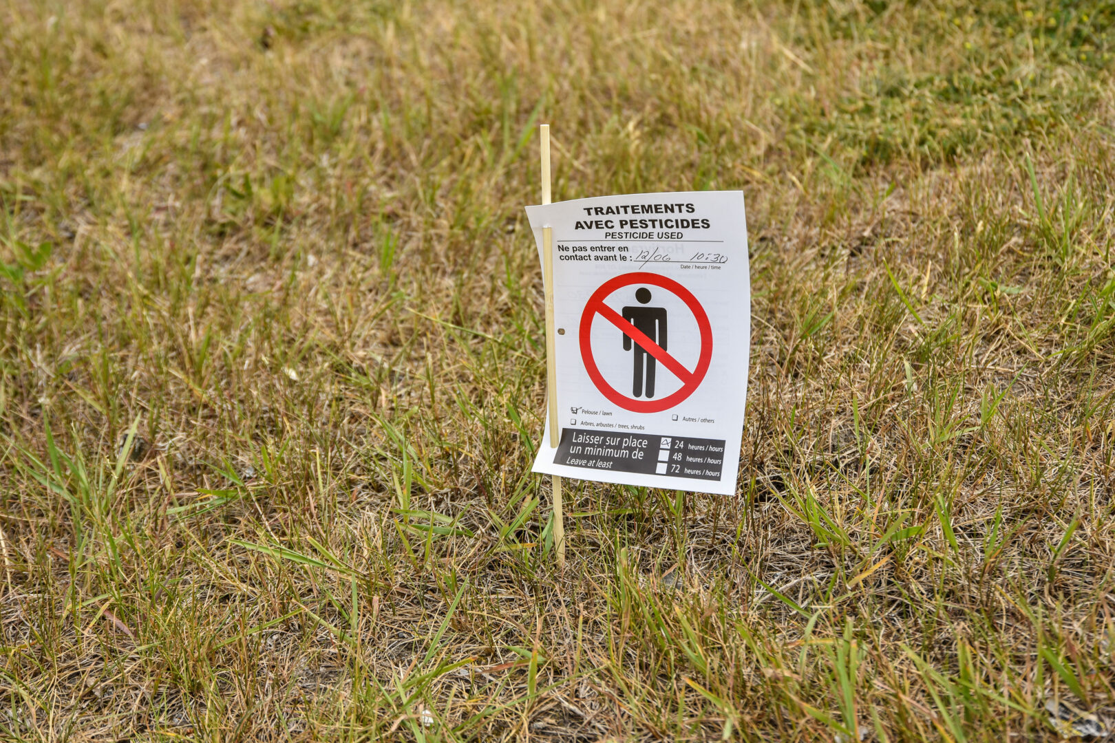 La Ville de Saint-Hyacinthe a adopté un règlement interdisant les pesticides sur son territoire. Photothèque | Le Courrier ©