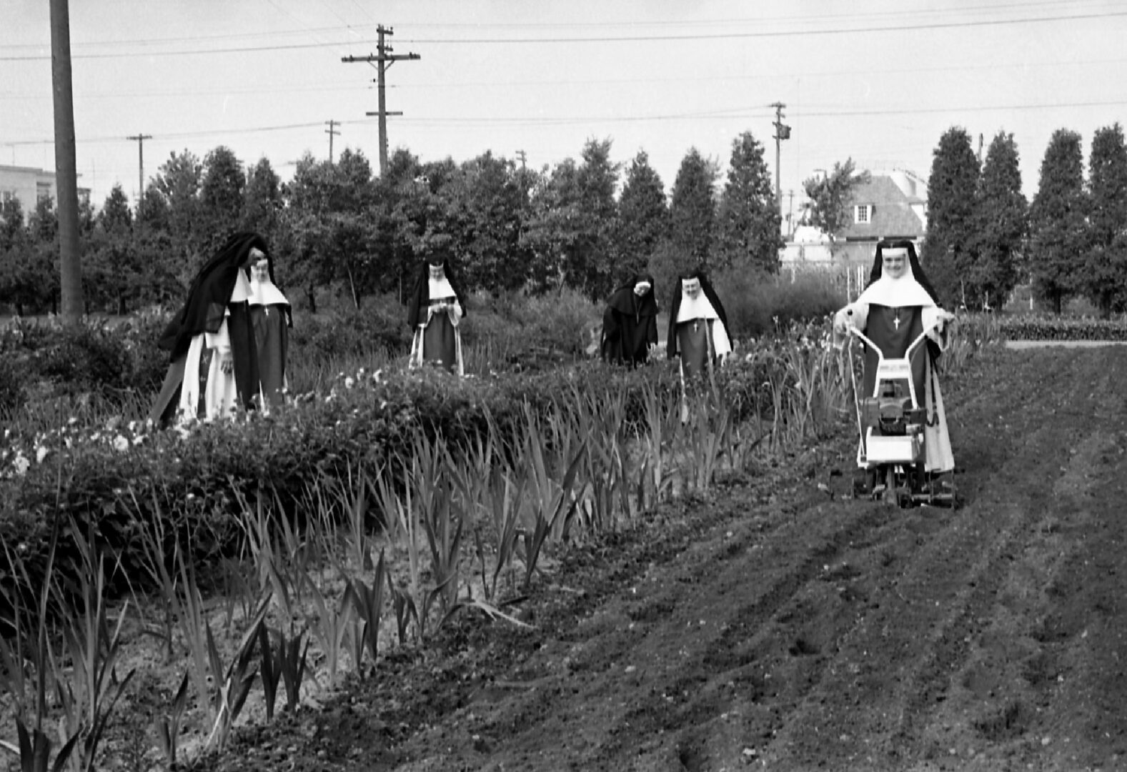 Photo Collection Centre d’histoire de Saint-Hyacinthe, CH548, Raymond Bélanger, photographe