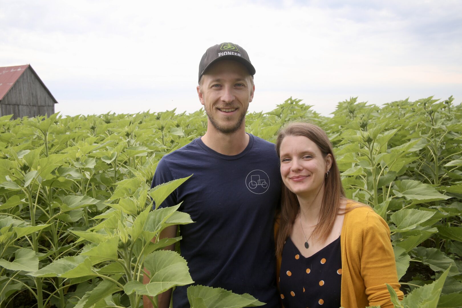 Les propriétaires de Canard du village, Gabriel Beauchemin et Alice De Guise, vous invitent à venir admirer leurs tournesols en fleur et leurs canards, les 10 et 11 août, de 10 h à 16 h, à Saint-Pie. Photo Robert Gosselin | Le Courrier ©