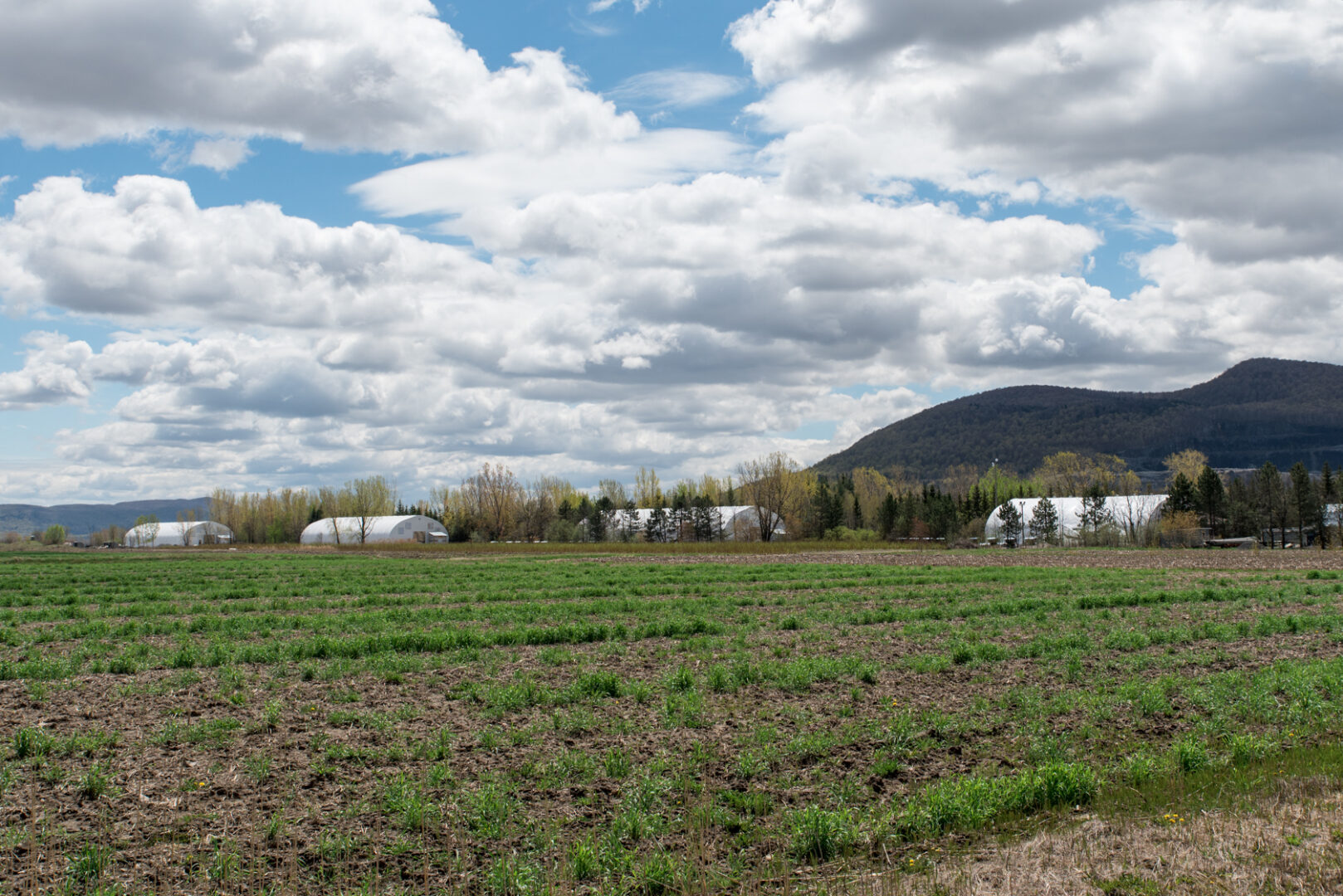 Benoît Laliberté a érigé quatre dômes sur une terre agricole, située sur le Petit Rang à Sainte-Marie-Madeleine, qui abritent des modules informatiques alimentant l’algorithme de cryptomonnaie. Photothèque | Le Courrier ©