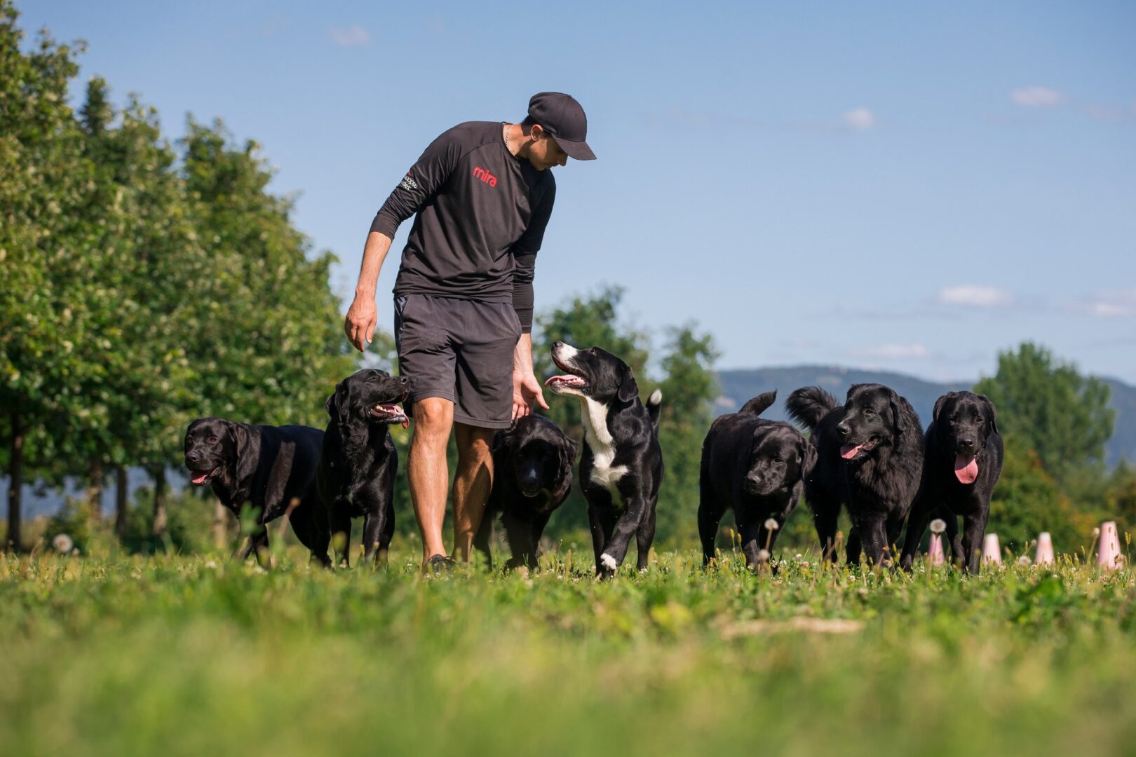 La Fondation Mira a été le seul organisme québécois reconnu comme meilleur employeur au Canada en 2023. Photo Fondation Mira