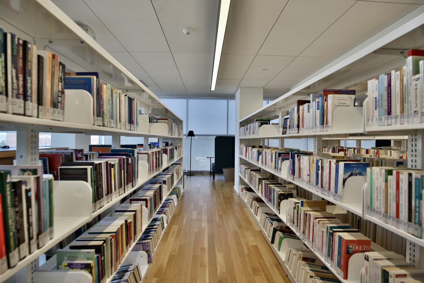 La bibliothèque T.-A.-St-Germain a été inaugurée à l’automne 2023. Photothèque | Le Courrier ©