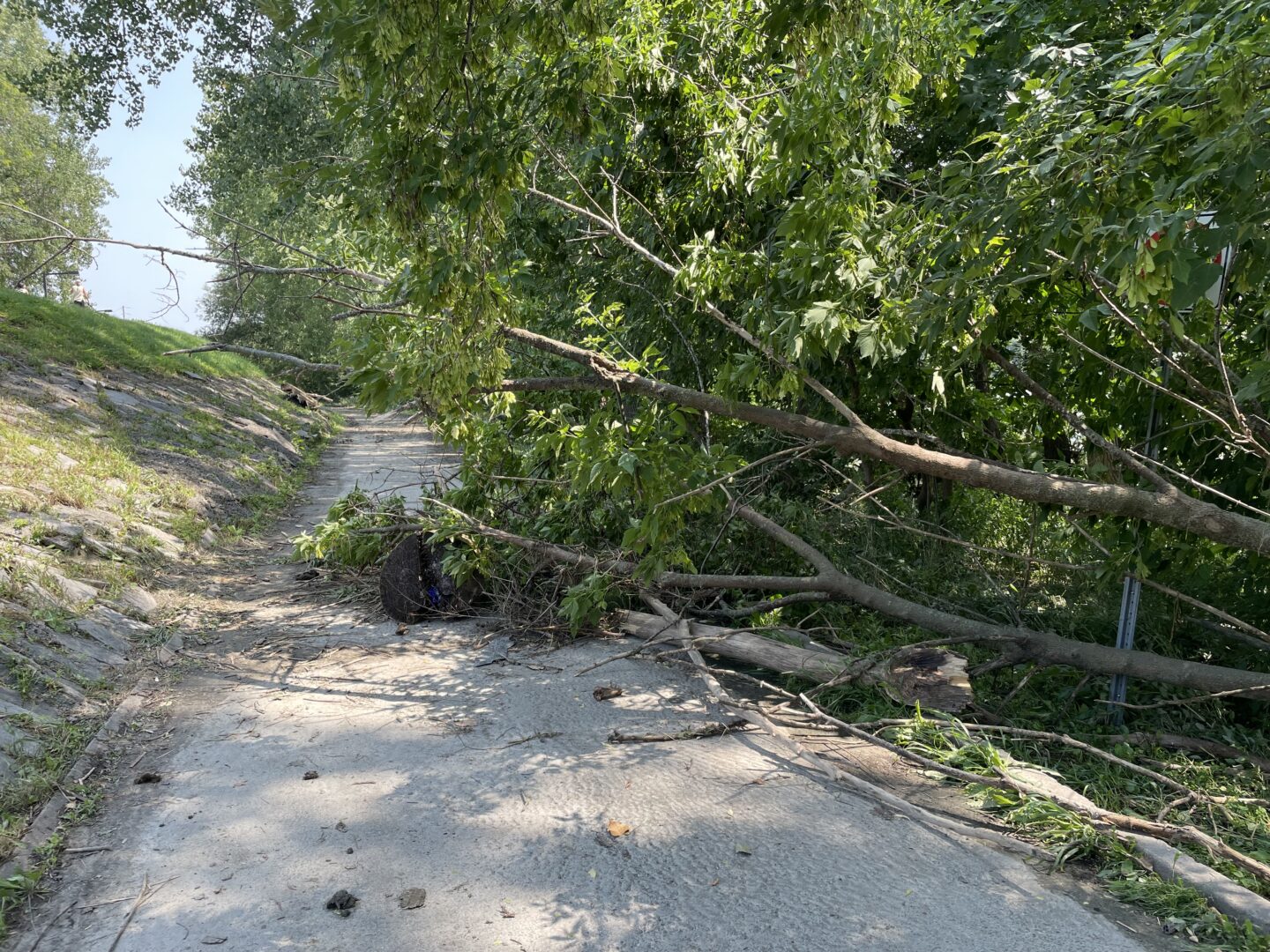 La piste cyclable de la promenade Gérard-Côté devra être nettoyée dans les prochains jours. Photo Adaée Beaulieu | Le Courrier ©