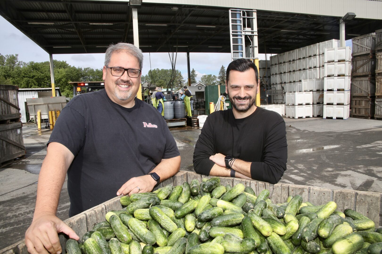 John Tartaglia et Daniel Jurkovic, les copropriétaires d’Aliments Putters, espèrent que les clients seront nombreux à encourager la production locale et en grands volumes alors que la récolte de concombres est abondante cette année. Photo Robert Gosselin | Le Courrier ©