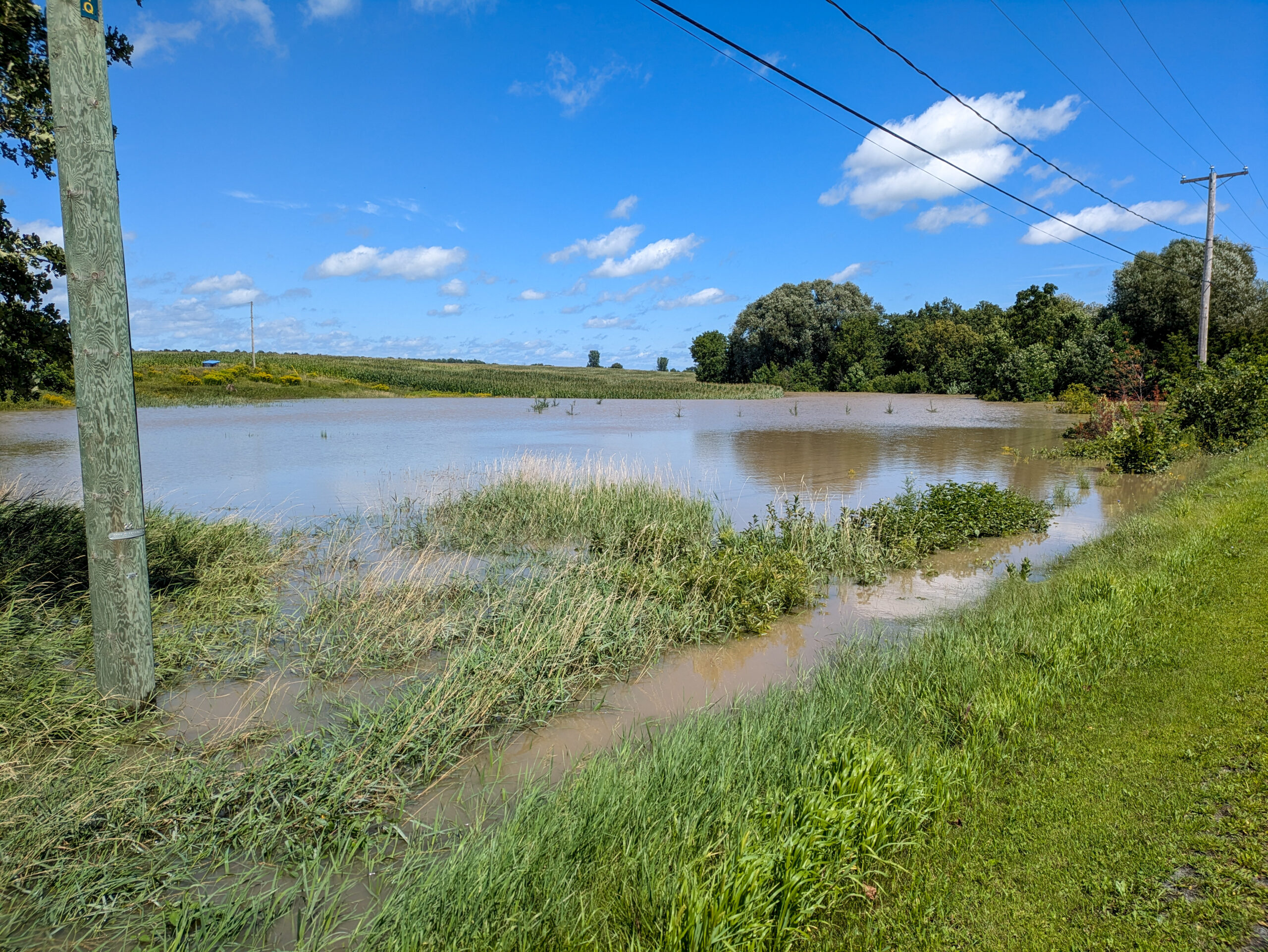 Les champs ont été particulièrement inondés à Saint-Pie lors du passage des restants de la tempête Debby, mais dans l’ensemble de la région maskoutaine, les cultures n’ont pas été gravement touchées, selon les agriculteurs sondés par LE COURRIER. Photo Adam Bolestridge | Le Courrier ©