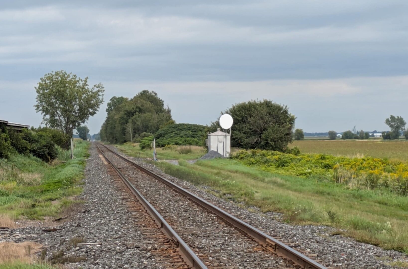 Photo Adam Bolestridge | Le Courrier ©