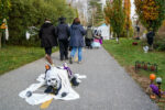 Où et quand célébrer l’Halloween à Saint-Hyacinthe