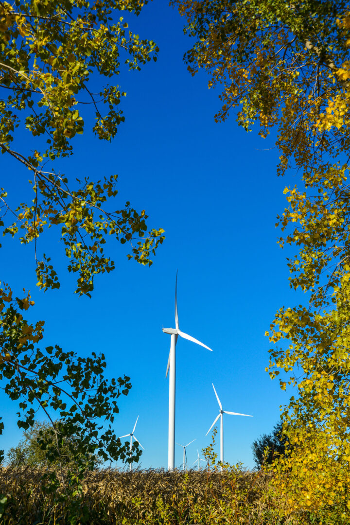 La MRC des Maskoutains a adopté récemment son règlement de contrôle intérimaire encadrant l’implantation des éoliennes sur son territoire. Photothèque | Le Courrier ©