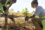 Diminuer les impacts des changements climatiques