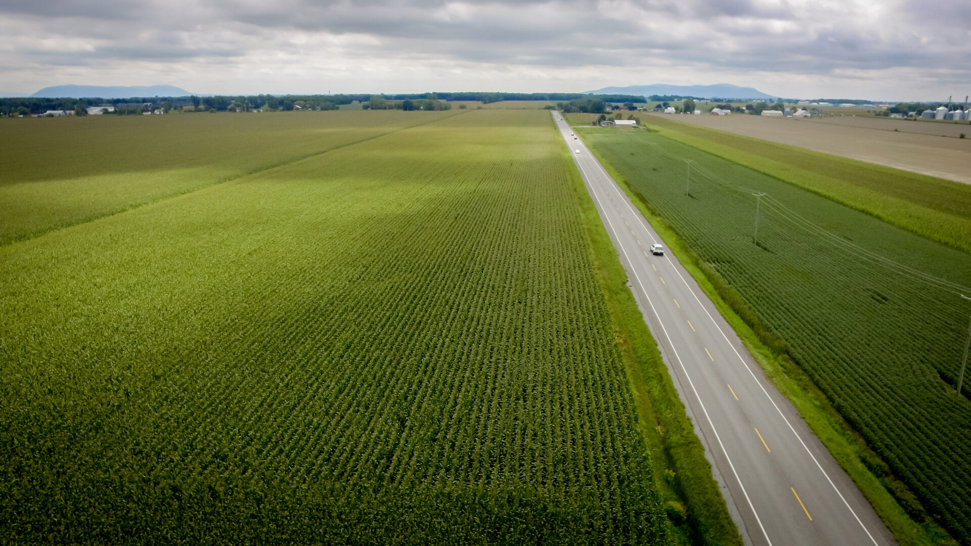 Le terrain sur l’avenue Pinard a été vendu à Exceldor au printemps 2024. Photothèque | Le Courrier ©