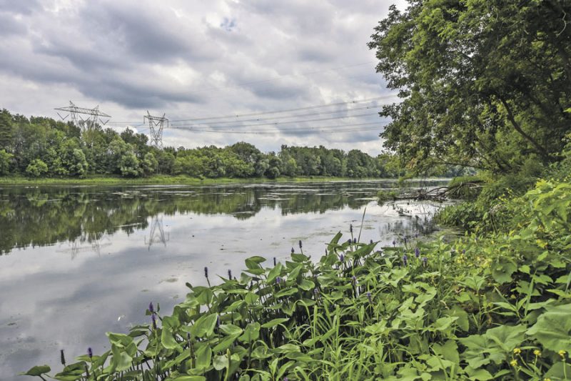 Ce montant permettra à l’Organisme de bassin versant de la Yamaska de soutenir la réalisation de son mandat pour une gestion de l’eau durable et responsable. Photothèque | Le Courrier ©