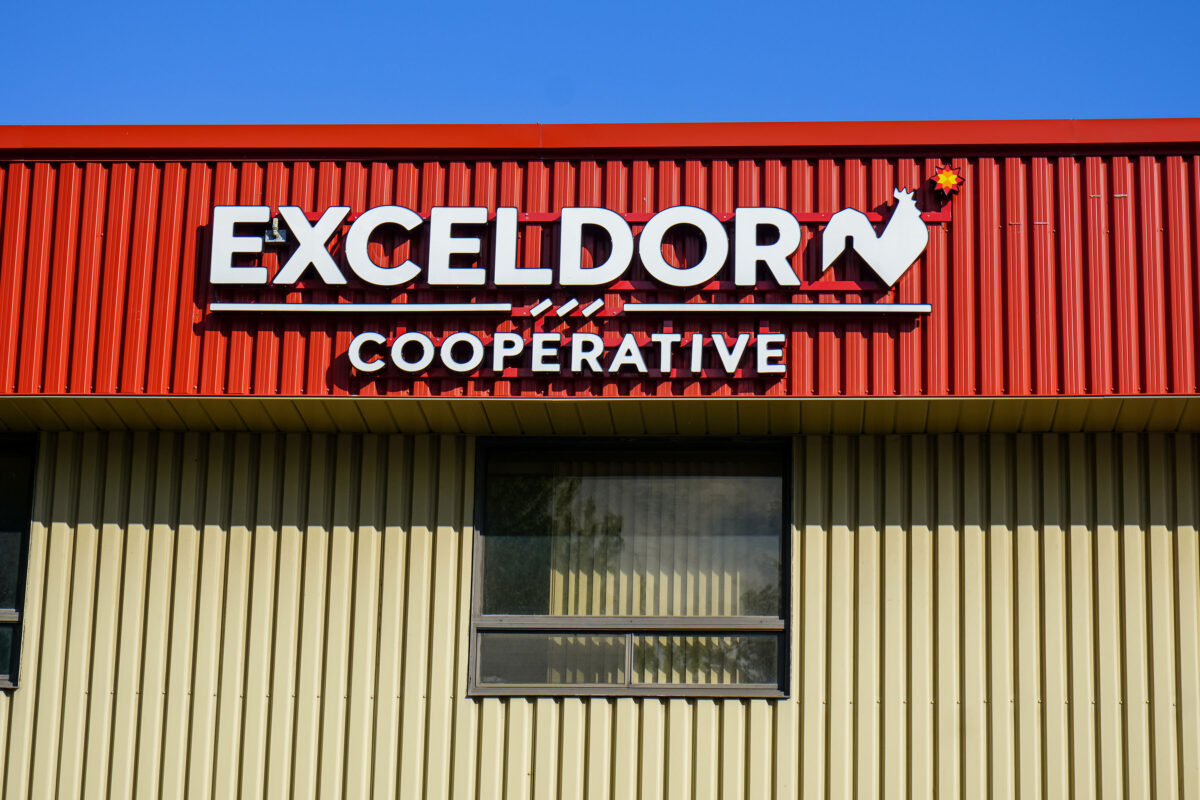 Exceldor coopérative est la propriété de quelque 330 membres producteurs du Québec, de l’Ontario et du Manitoba. Photo François Larivière | Le Courrier ©