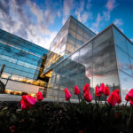 La photo de la bibliothèque T.-A.-St-Germain, récipiendaire d’une médaille de bronze pour le volet architecture de la catégorie « Commerciale ». Photo François Larivière