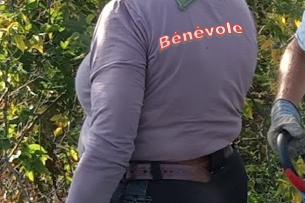 Photo gracieuseté