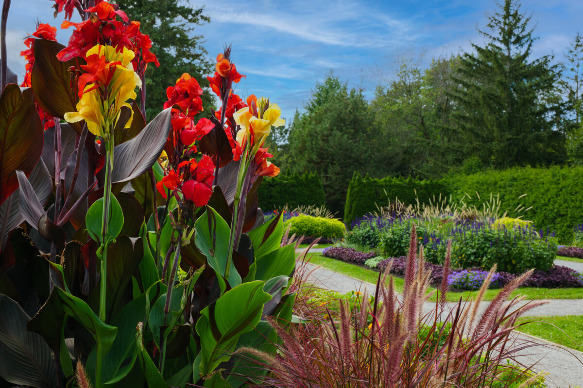 Le Jardin Daniel A. Séguin est prêt à accueillir le grand public dès le 21 juin. Photo Studios Drakkar