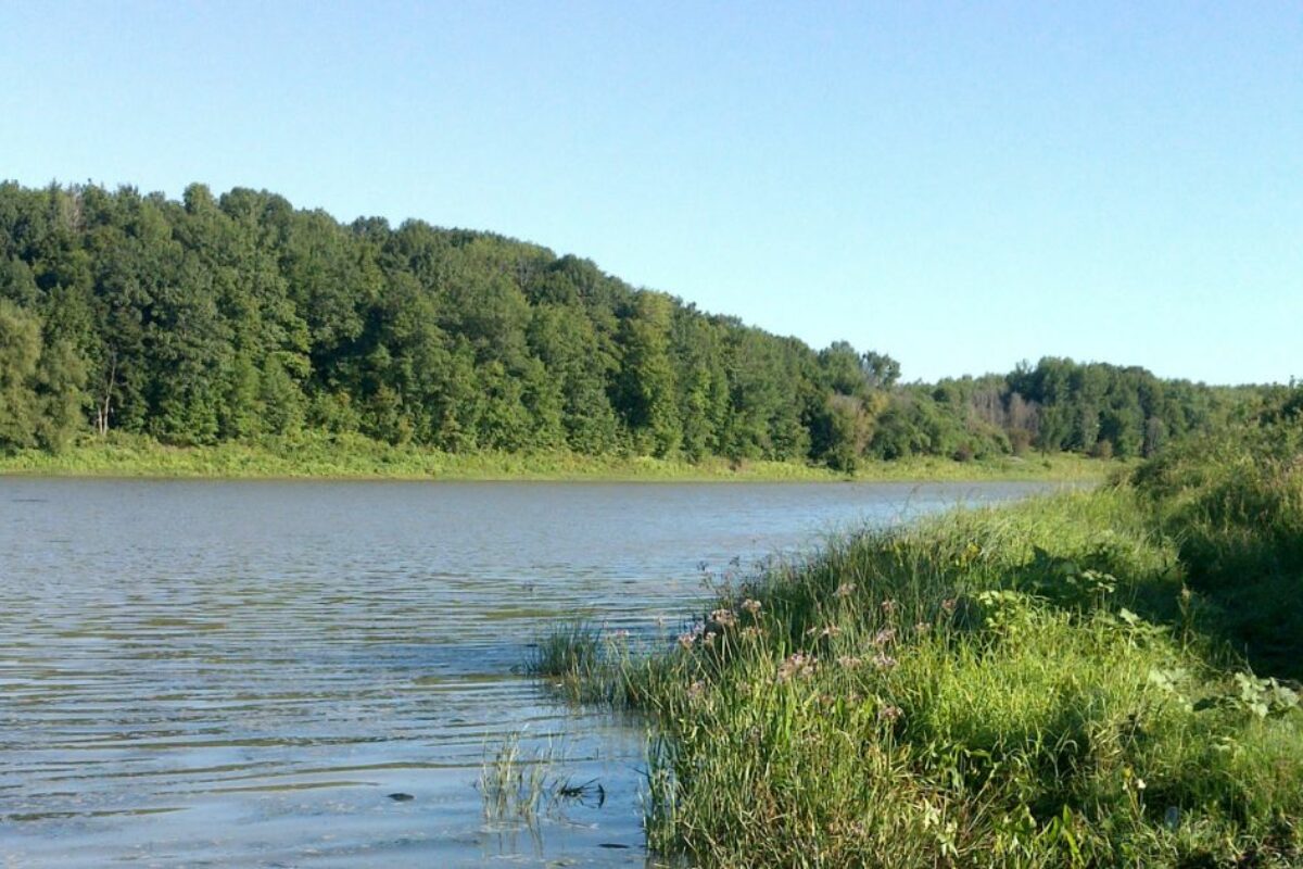 Le programme de subvention de la Ville de Saint-Hyacinthe pour la végétalisation des bandes riveraines est de retour. Photo gracieuseté