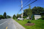 Saint-Hyacinthe se dote d’un technicien en foresterie