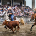 Le rodéo est toujours une activité incontournable de l’Expo agricole. Il a fait fureur les 27, 28 et 29 juillet. Photo François Larivière | Le Courrier ©